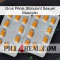 Gros Pénis Stimulant Sexuel Masculin cialis4